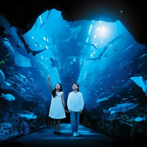 Переход к Аквариум в Дубае и