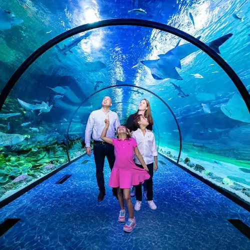Переход к The National Aquarium Abu Dhabi