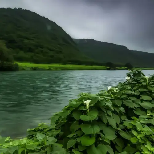 التنقل إلى 4-Day Salalah Adventure Package from UAE - Natural Wonders & Cultural Heritage Tour with Luxury Accommodation