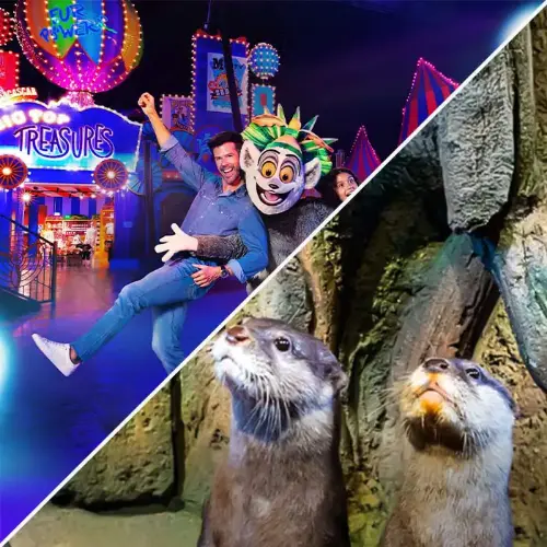 Motiongate™ Dubai + Dubai Aquarium And Underwater Zoo Tickets