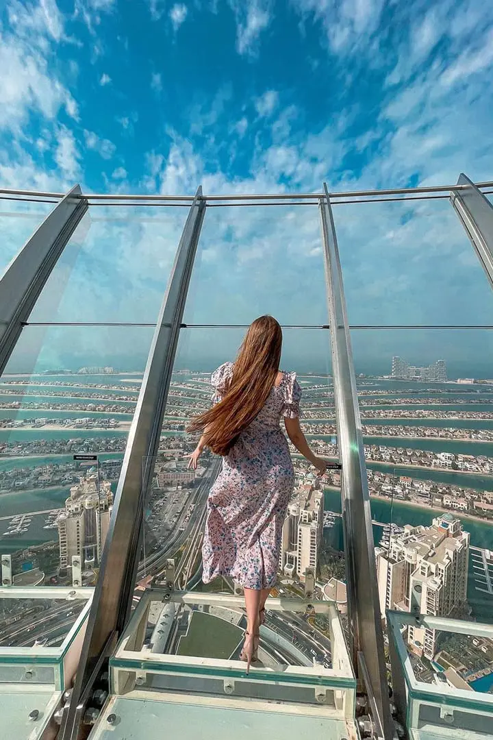 The View At The Palm