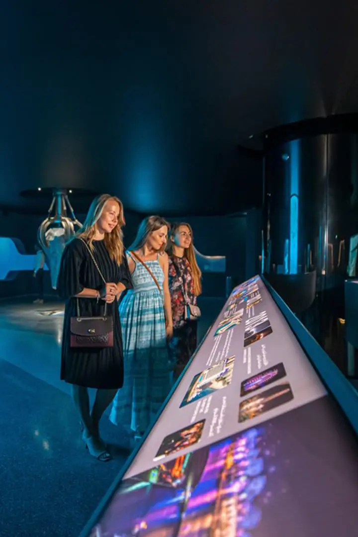 The View At The Palm