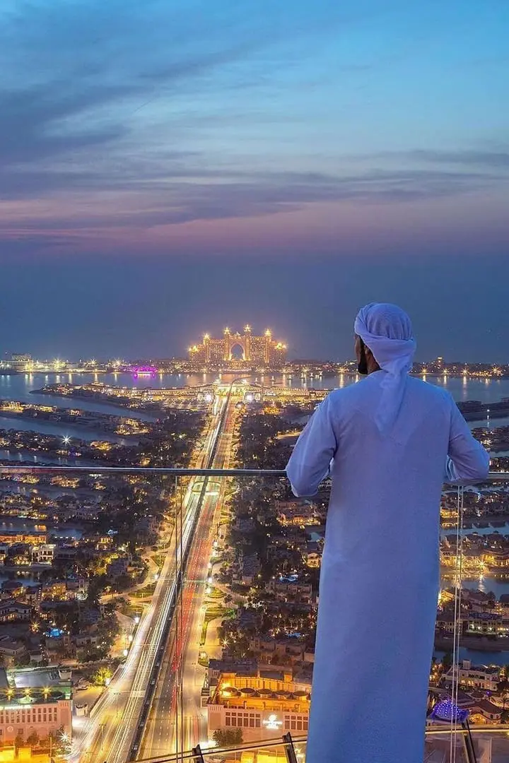 The View At The Palm