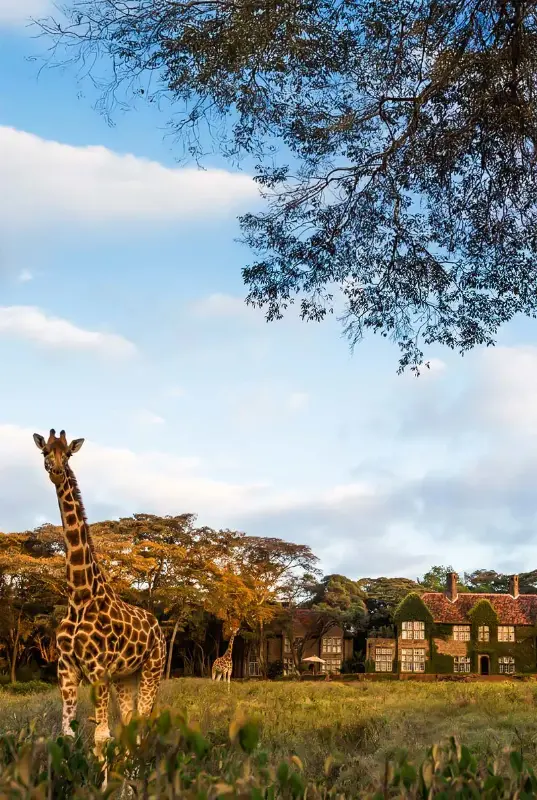 5-Day Kenya Safari: Wildlife & Nature