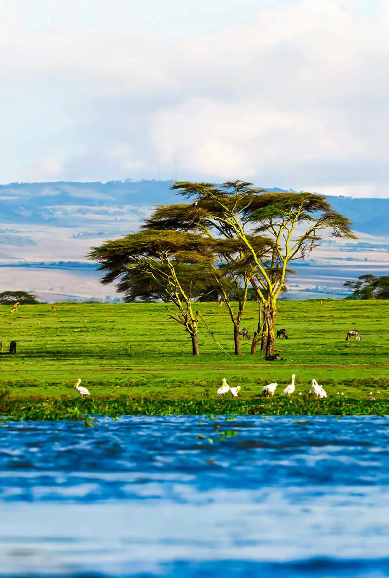 5-Day Kenya Safari: Wildlife & Nature
