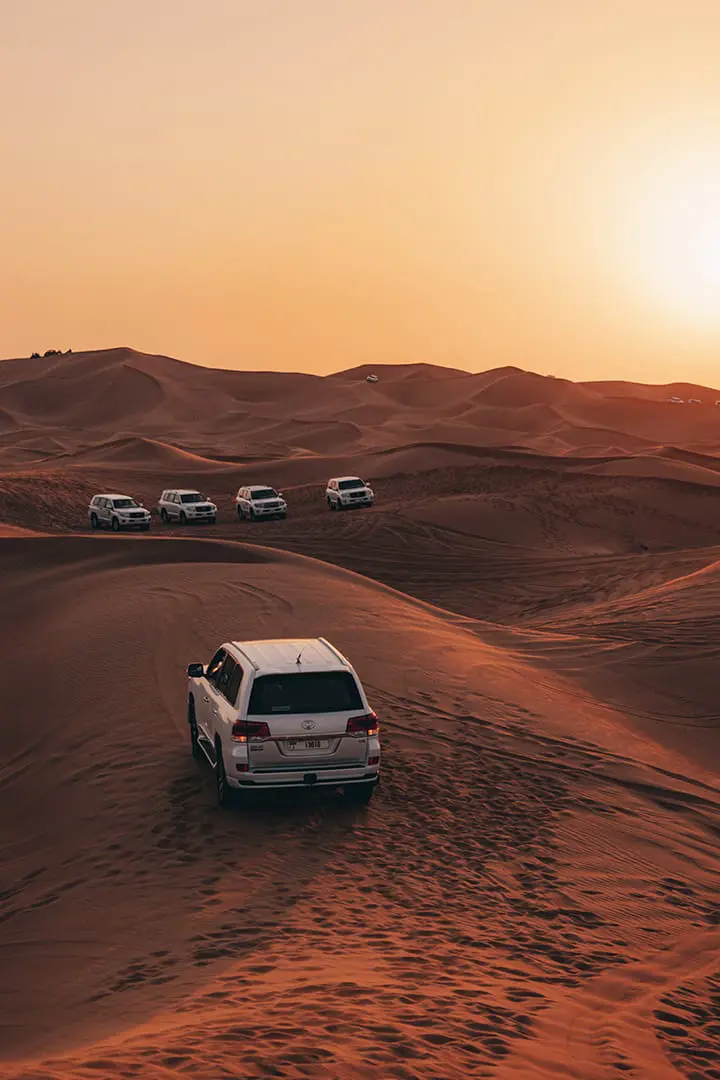 Morning Red Dunes Safari