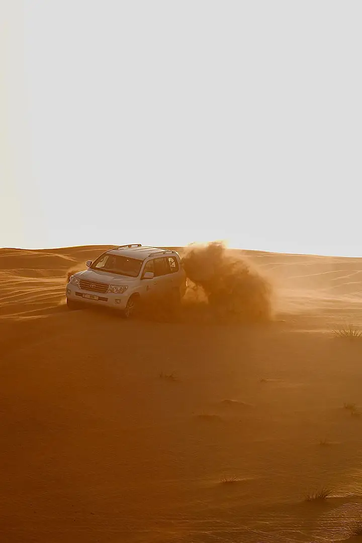 Morning Red Dunes Safari