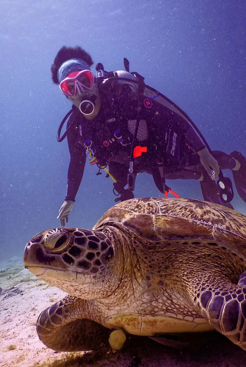 Snorkeling at Fujairah
