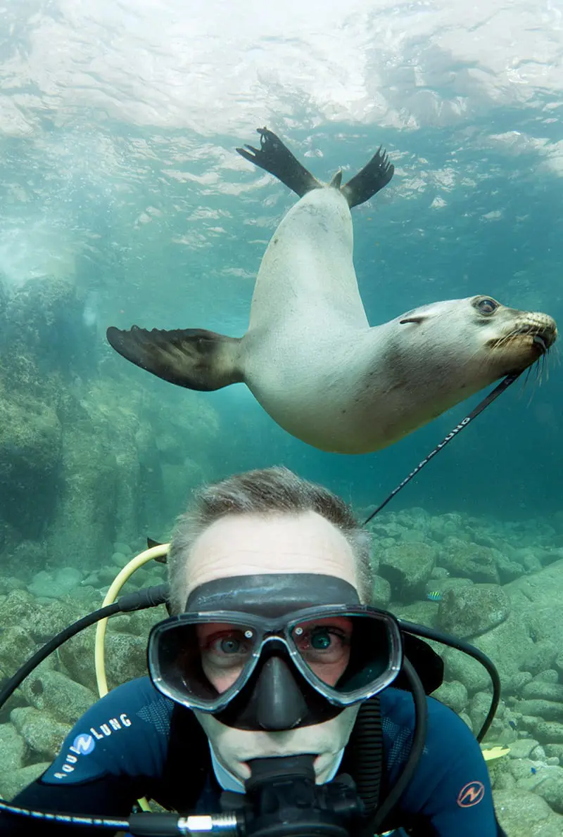 Snorkeling at Fujairah