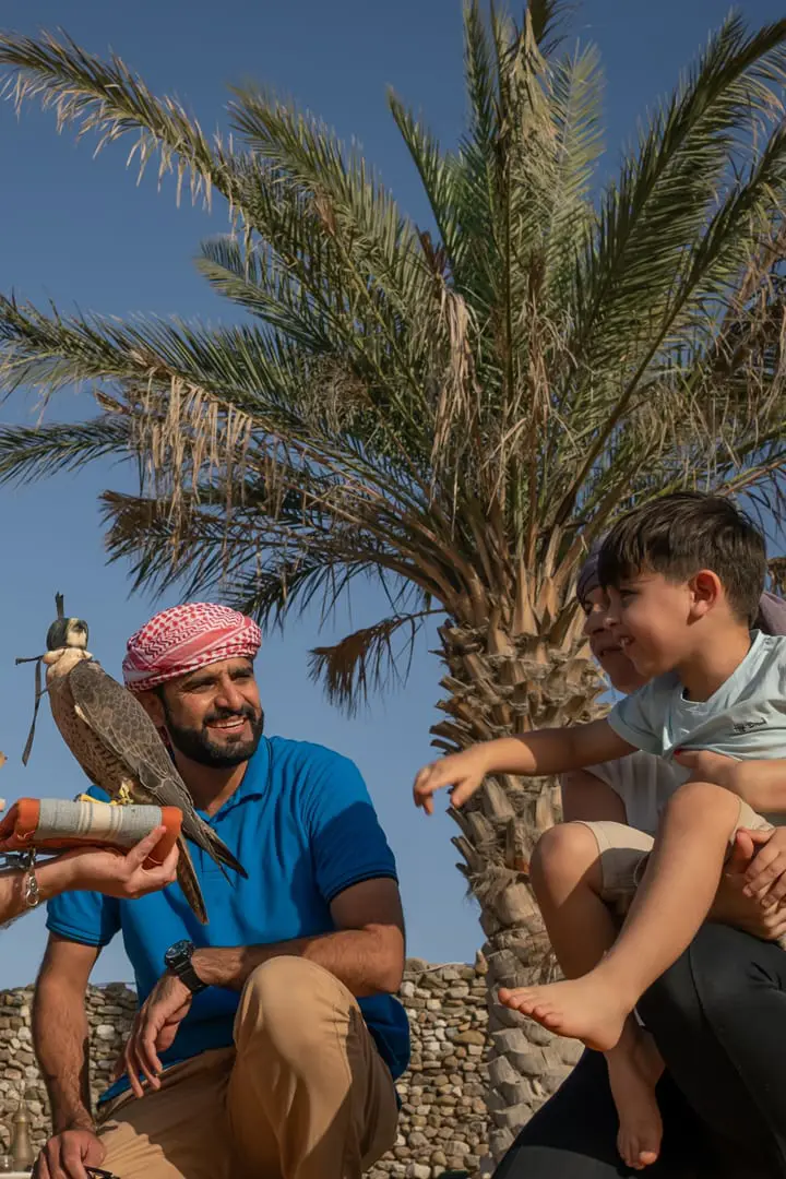 Heritage Safari by Vintage Land Rover