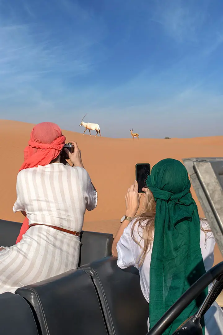 Heritage Safari by Vintage Land Rover