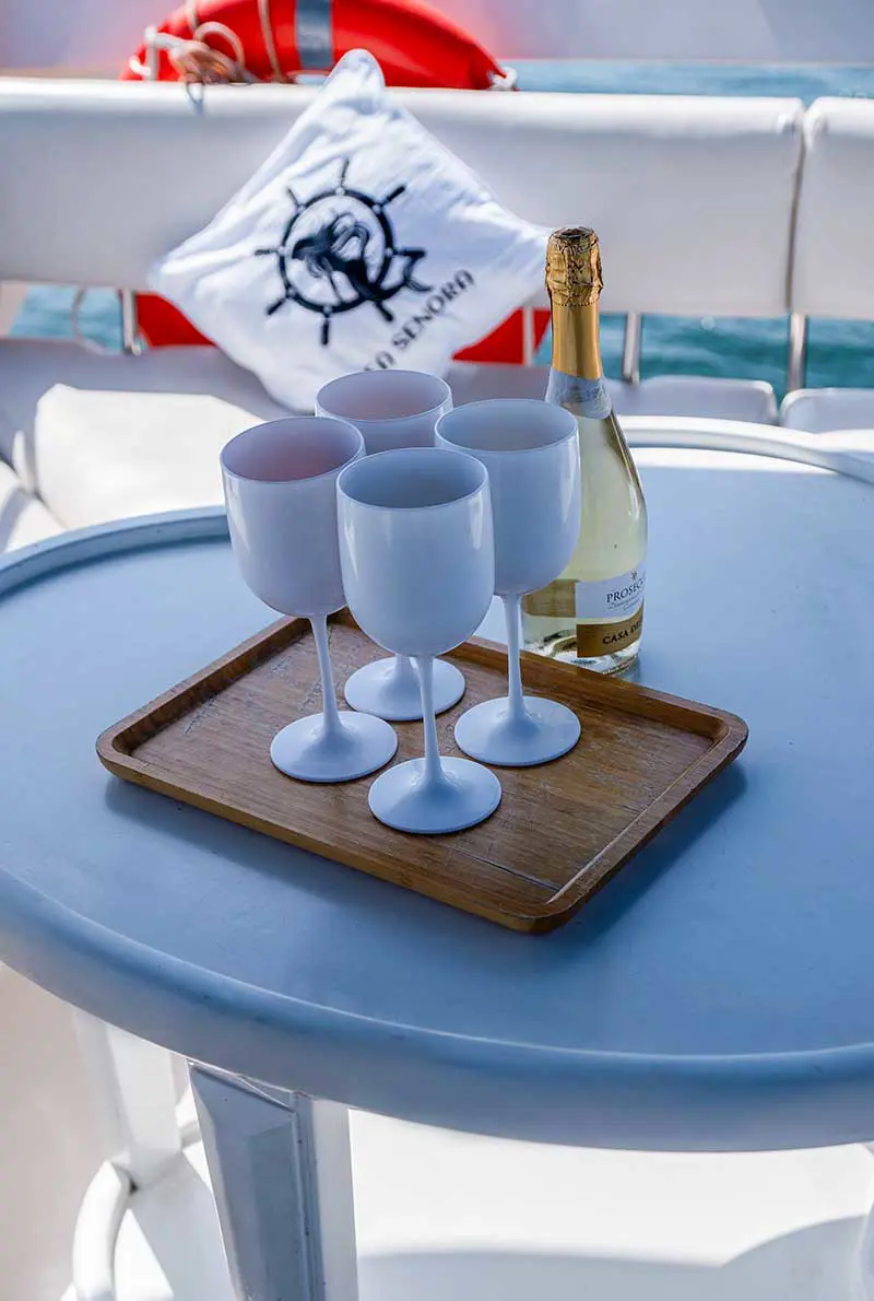 Sea Senora leisure yachts