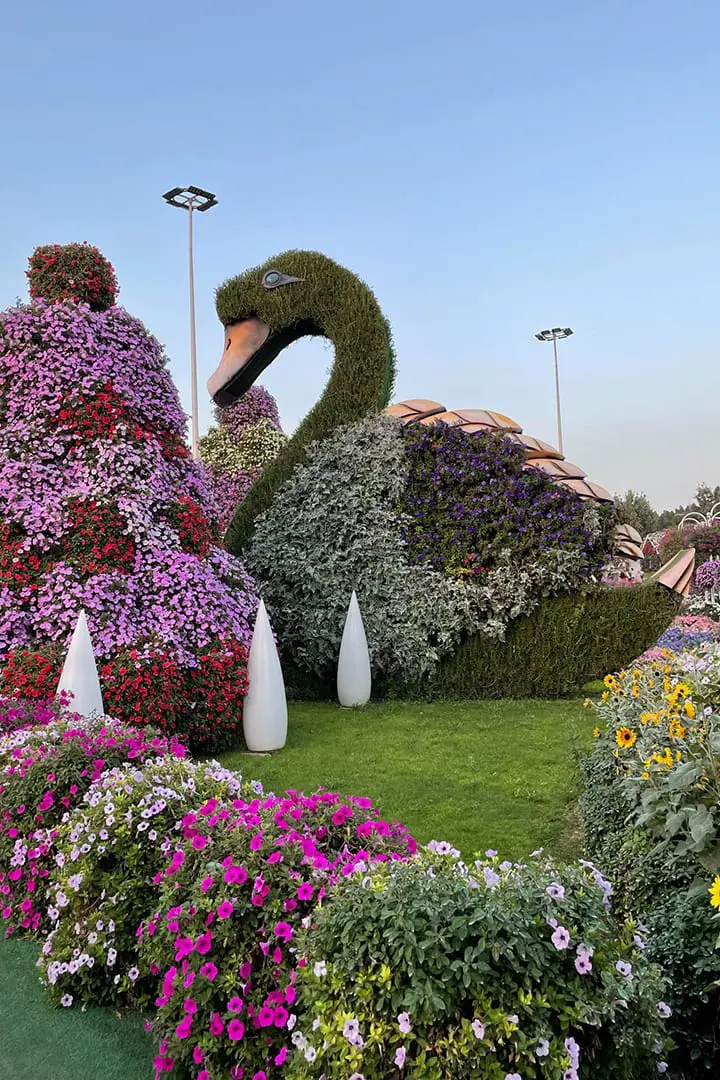 Butterfly Garden Dubai