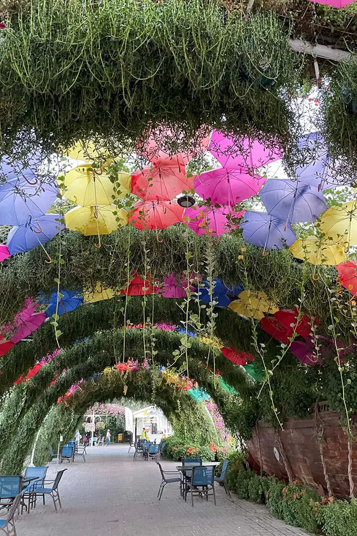 Butterfly Garden Dubai