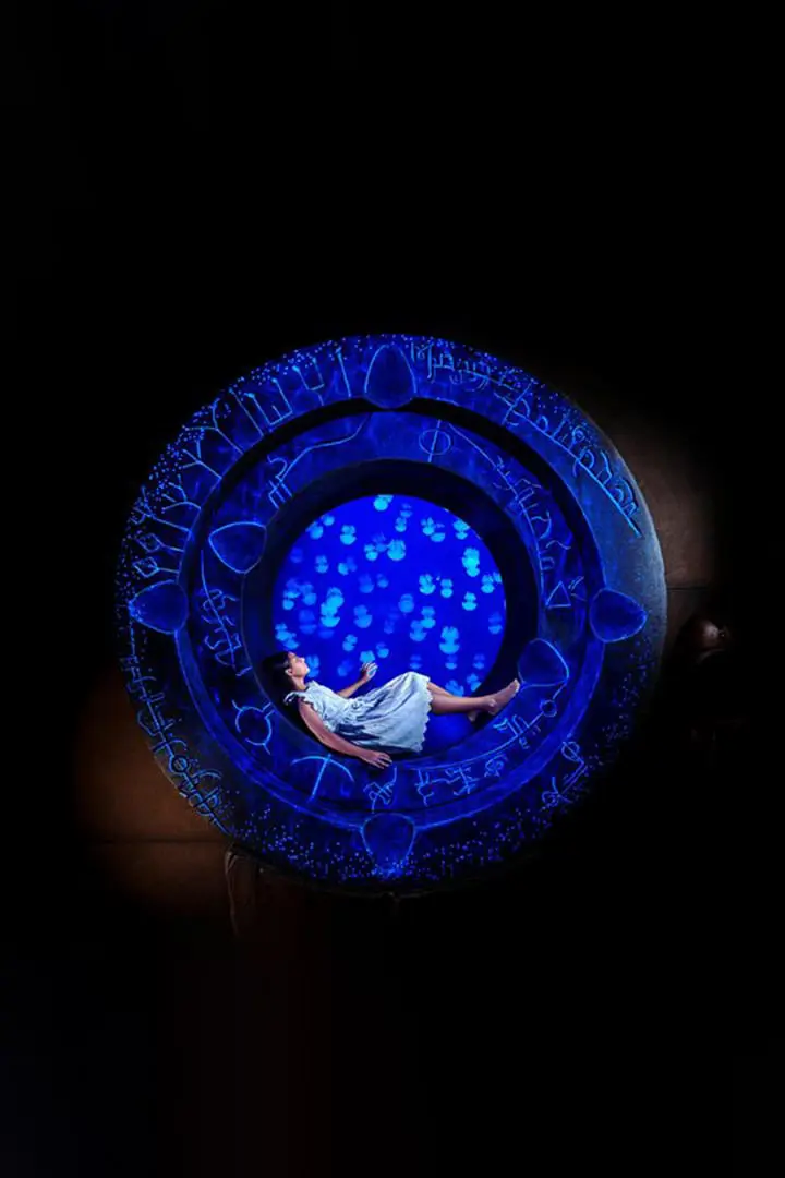 The Lost Chamber Aquarium