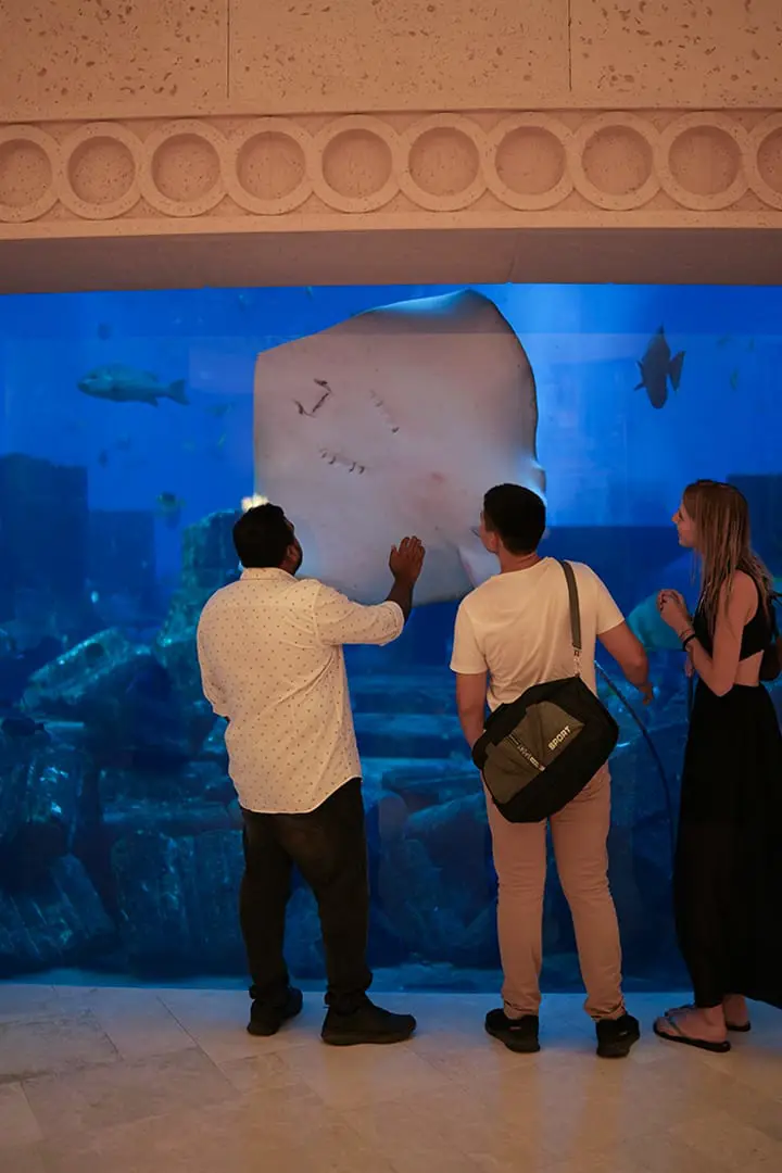 The Lost Chamber Aquarium