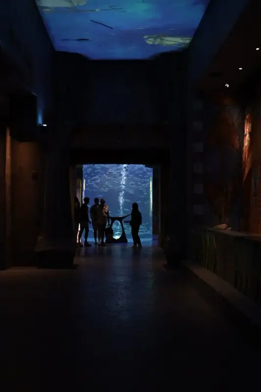 The Lost Chamber Aquarium
