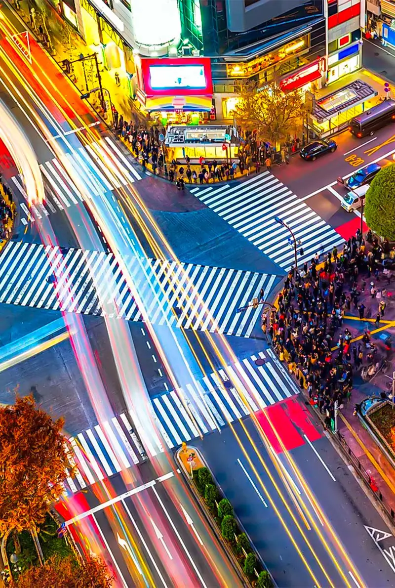 2025 Japan Cherry Blossom Tour: 9 Days of Sakura Splendor in Tokyo, Hiroshima & Osaka