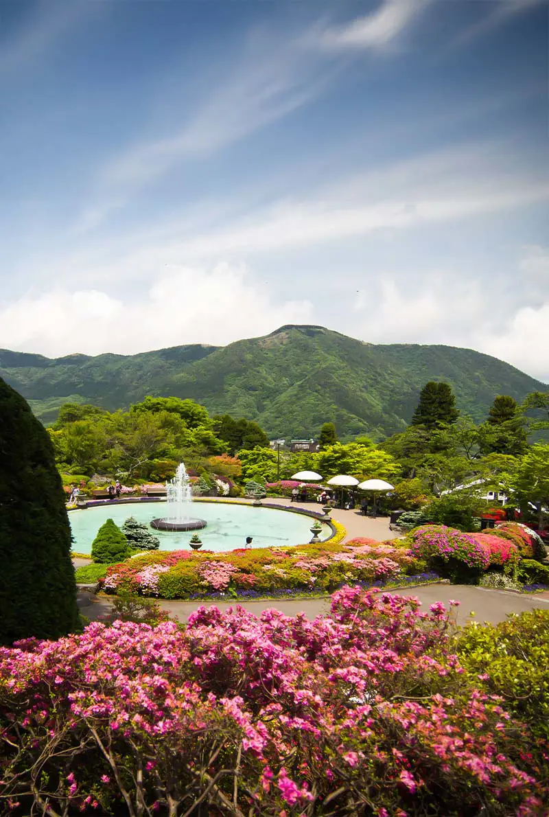 2025 Japan Cherry Blossom Tour: 9 Days of Sakura Splendor in Tokyo, Hiroshima & Osaka