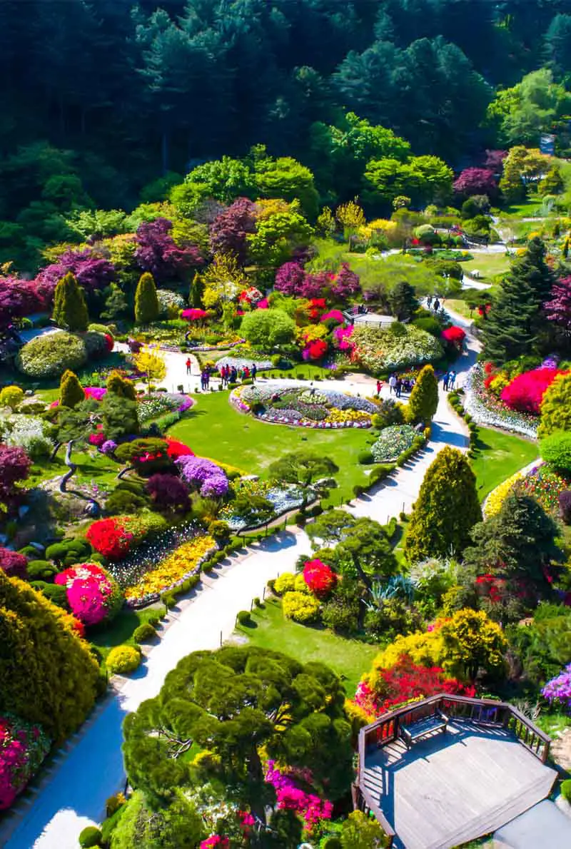 4-Night Seoul Discovery Tour