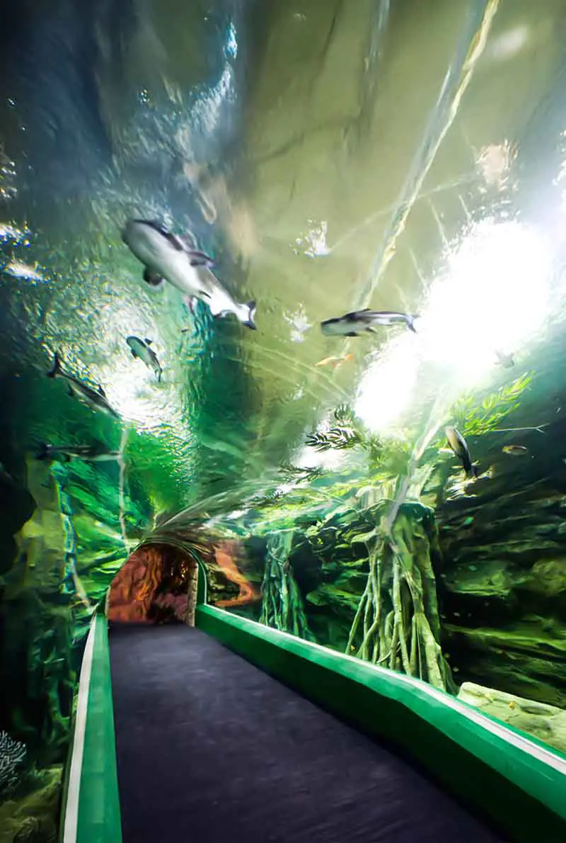 4-Night Seoul Discovery Tour