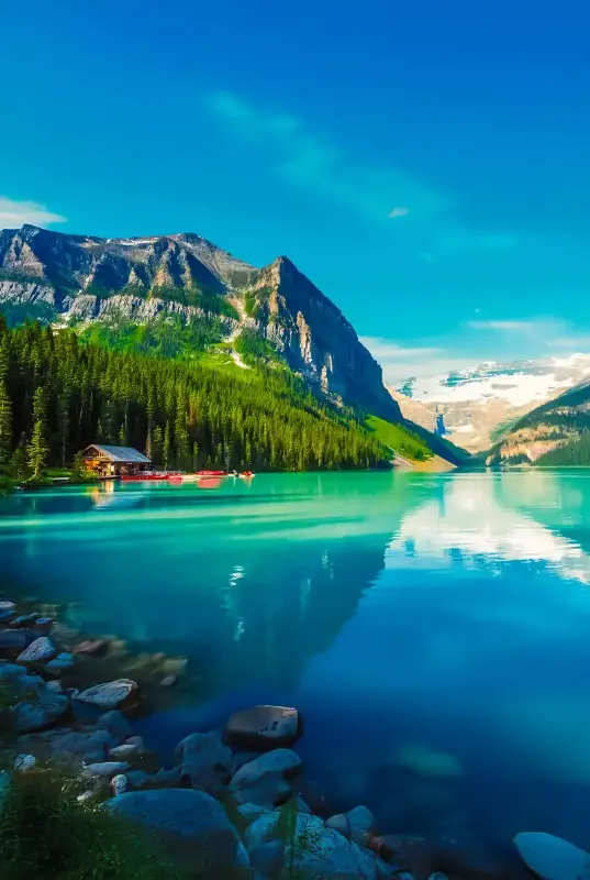 Canada Visa Assist