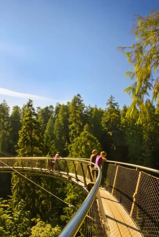 Canada Visa Assist