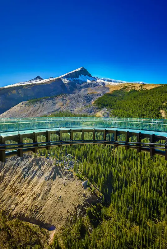 Canada Visa Assist