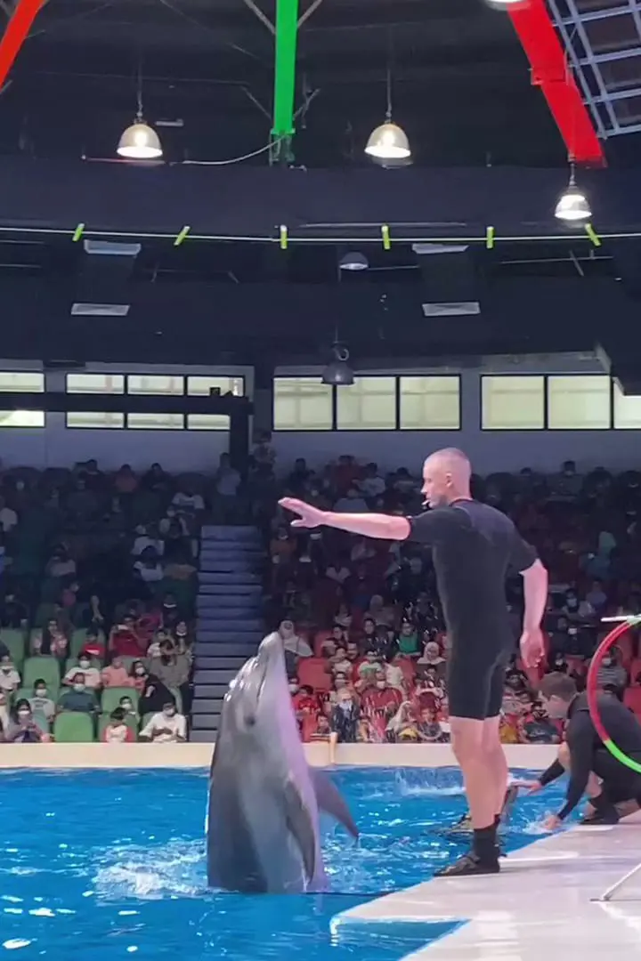 Dubai Dolphinarium