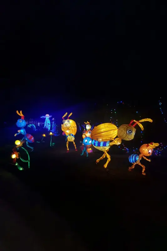Dubai Garden Glow