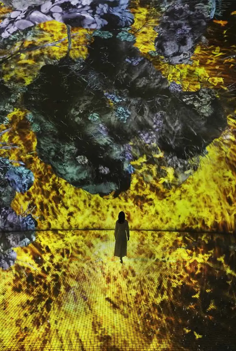 teamLab Phenomena Abu Dhabi: Digital Art That Responds to You