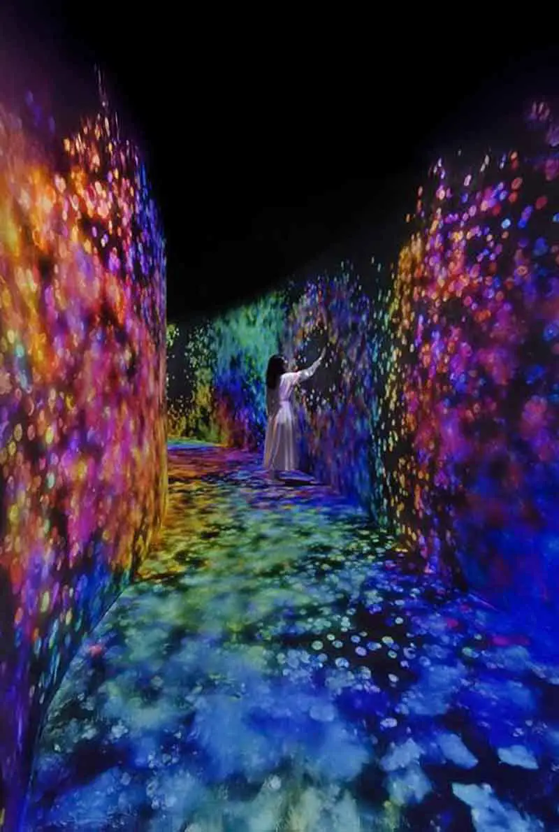 teamLab Phenomena Abu Dhabi: Digital Art That Responds to You