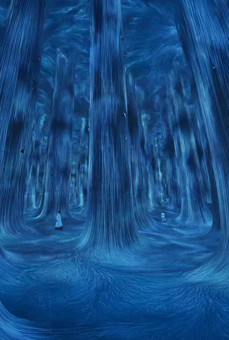 teamLab Phenomena Abu Dhabi: Digital Art That Responds to You