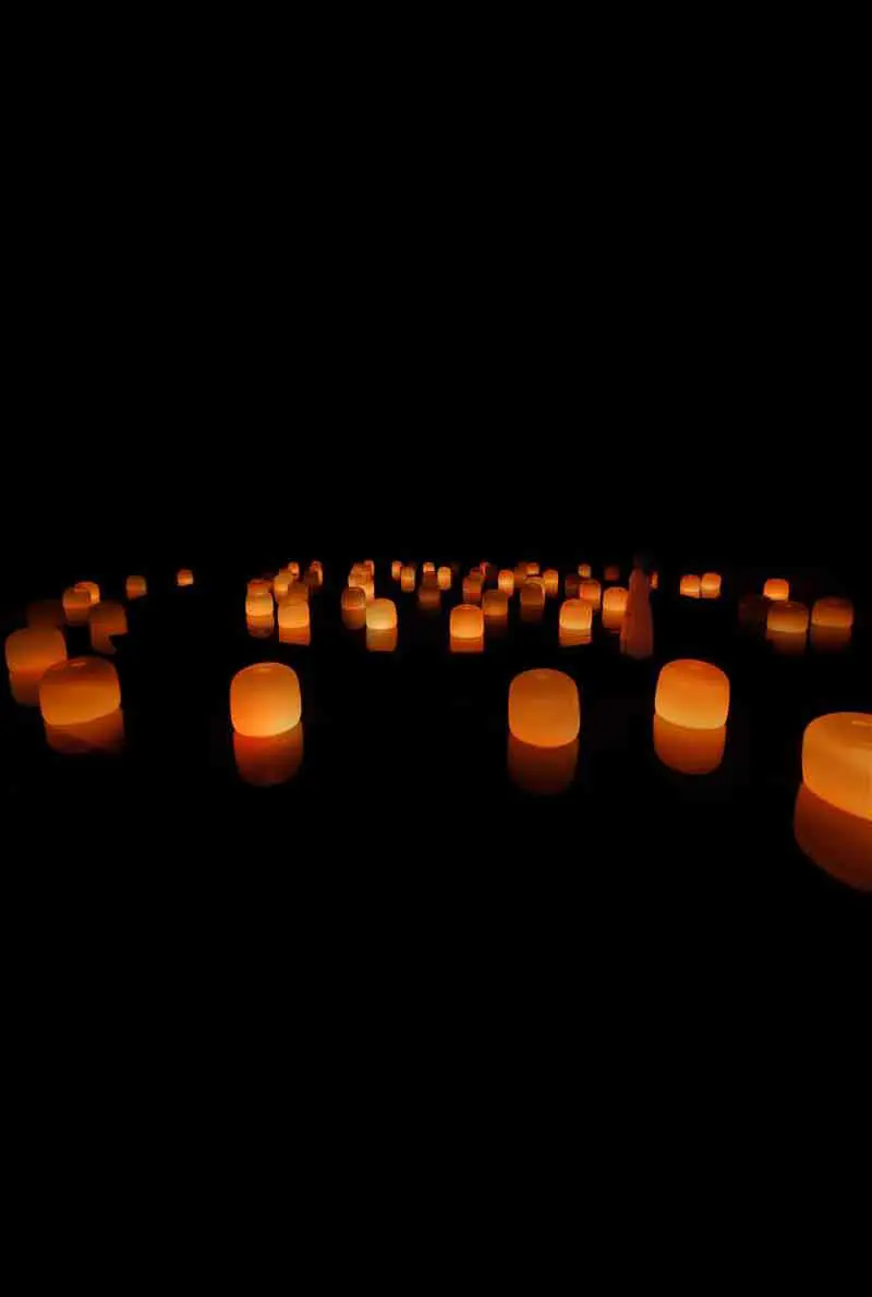 teamLab Phenomena Abu Dhabi: Digital Art That Responds to You