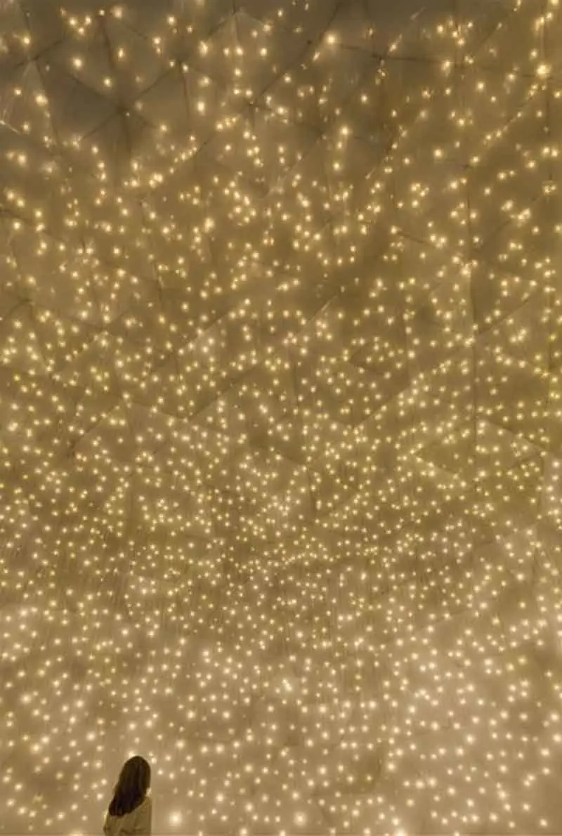 teamLab Phenomena Abu Dhabi: Digital Art That Responds to You