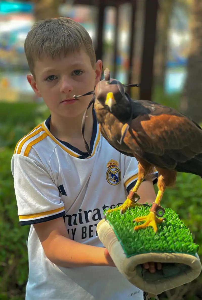 Royal Desert Fortress Dining Experience | Luxury Private Dubai Desert Safari