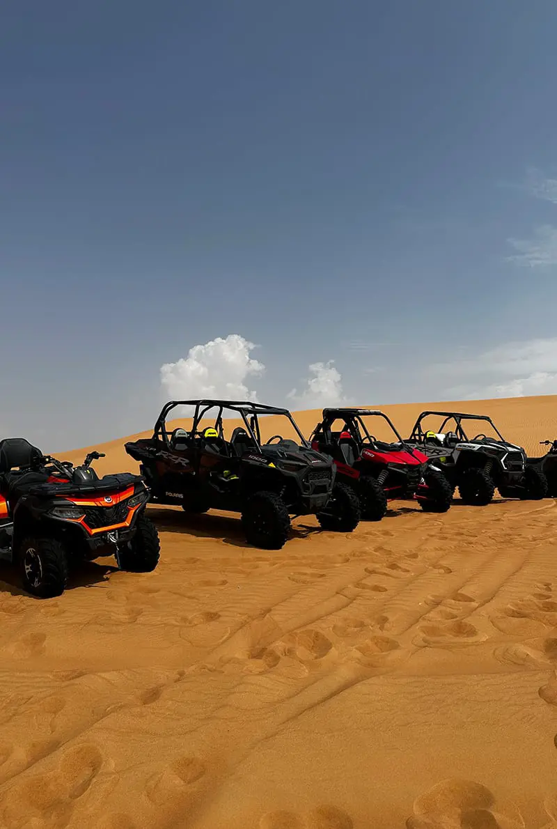 Buggy Ride in the middle of the desert