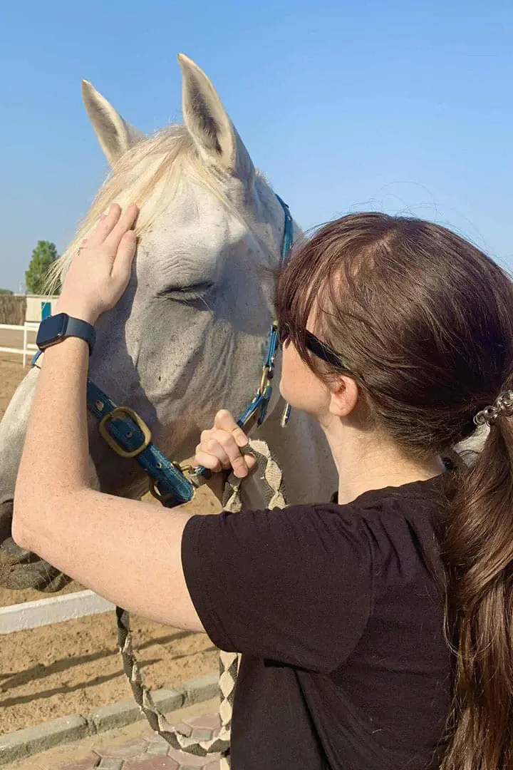 Al Madam 2 Stables , Horse Riding UAE
