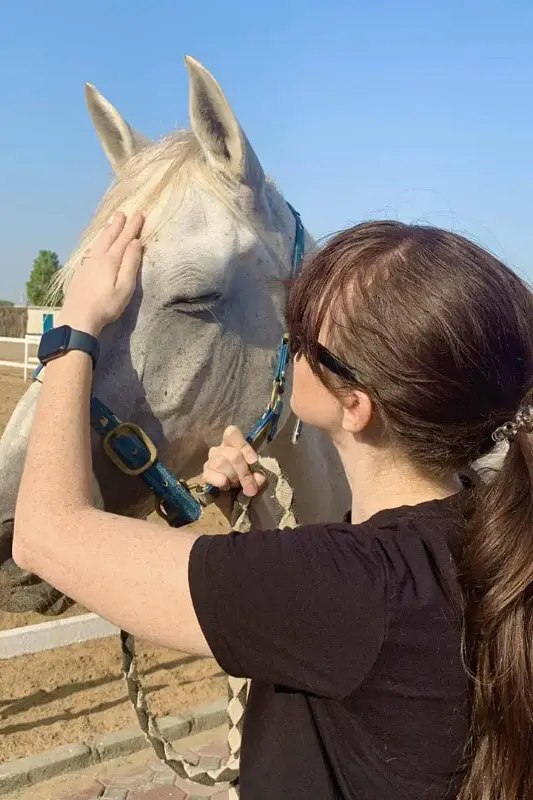 Al Madam 2 Stables , Horse Riding UAE