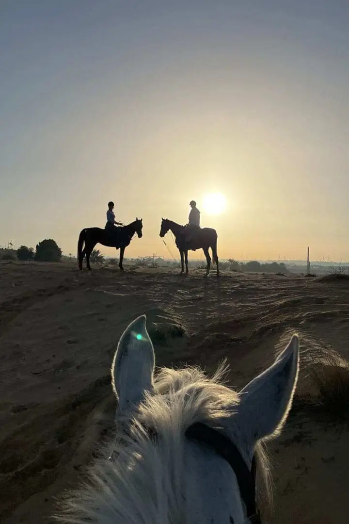 Al Madam 2 Stables , Horse Riding UAE