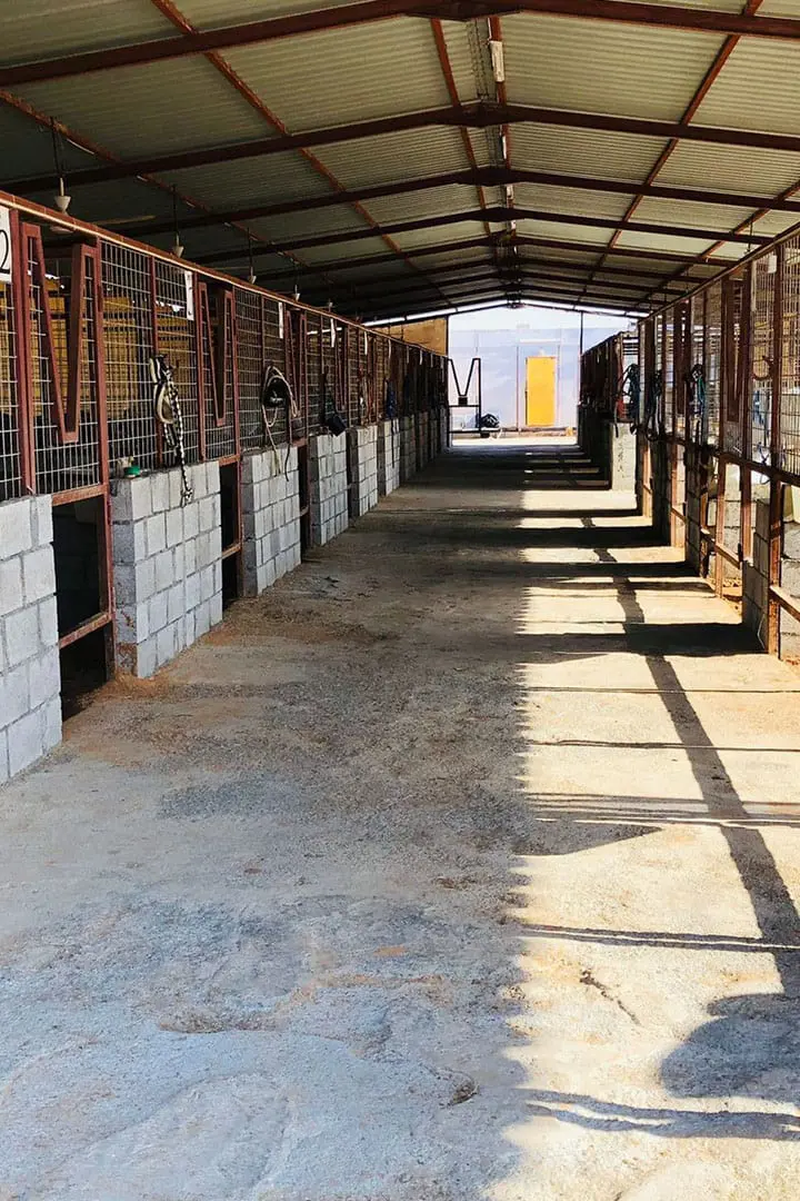 Al Madam 2 Stables , Horse Riding UAE