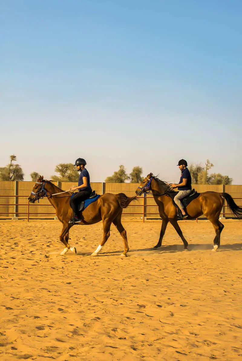 Mleiha Equestrian Adventures