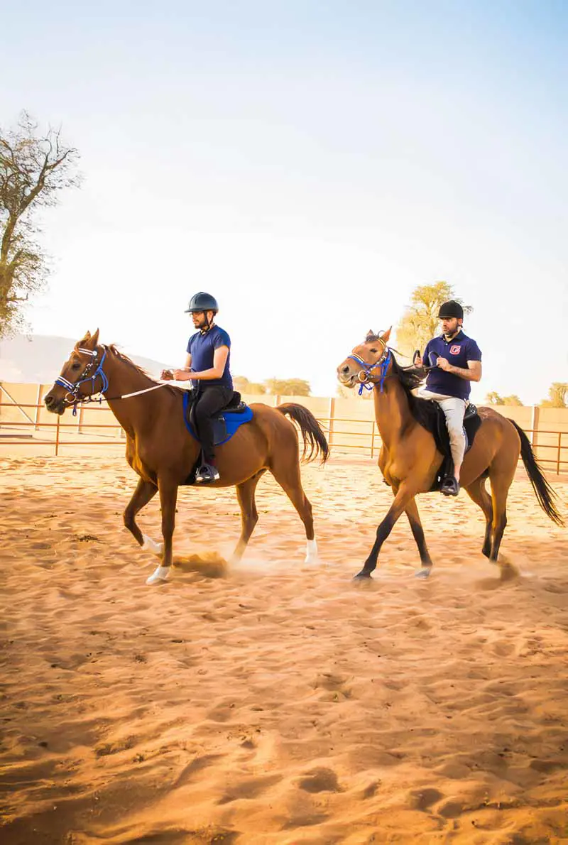 Mleiha Equestrian Adventures