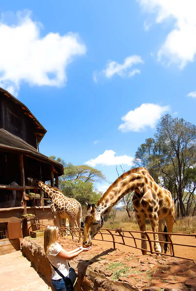 Eid Al Fitr 2025 Kenya Adventure: 4 Nights in Nairobi, Masai Mara & Lake Naivasha