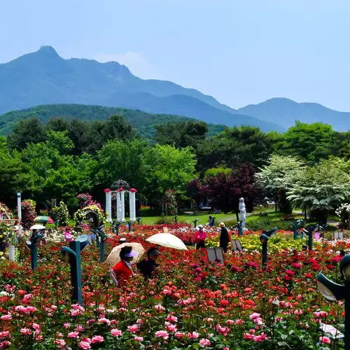 Navigating to the 4N5D Korea Medical Tourism: Skin Clinic Program with Botox, Filler & Laser Treatments in Seoul | July-December 2025