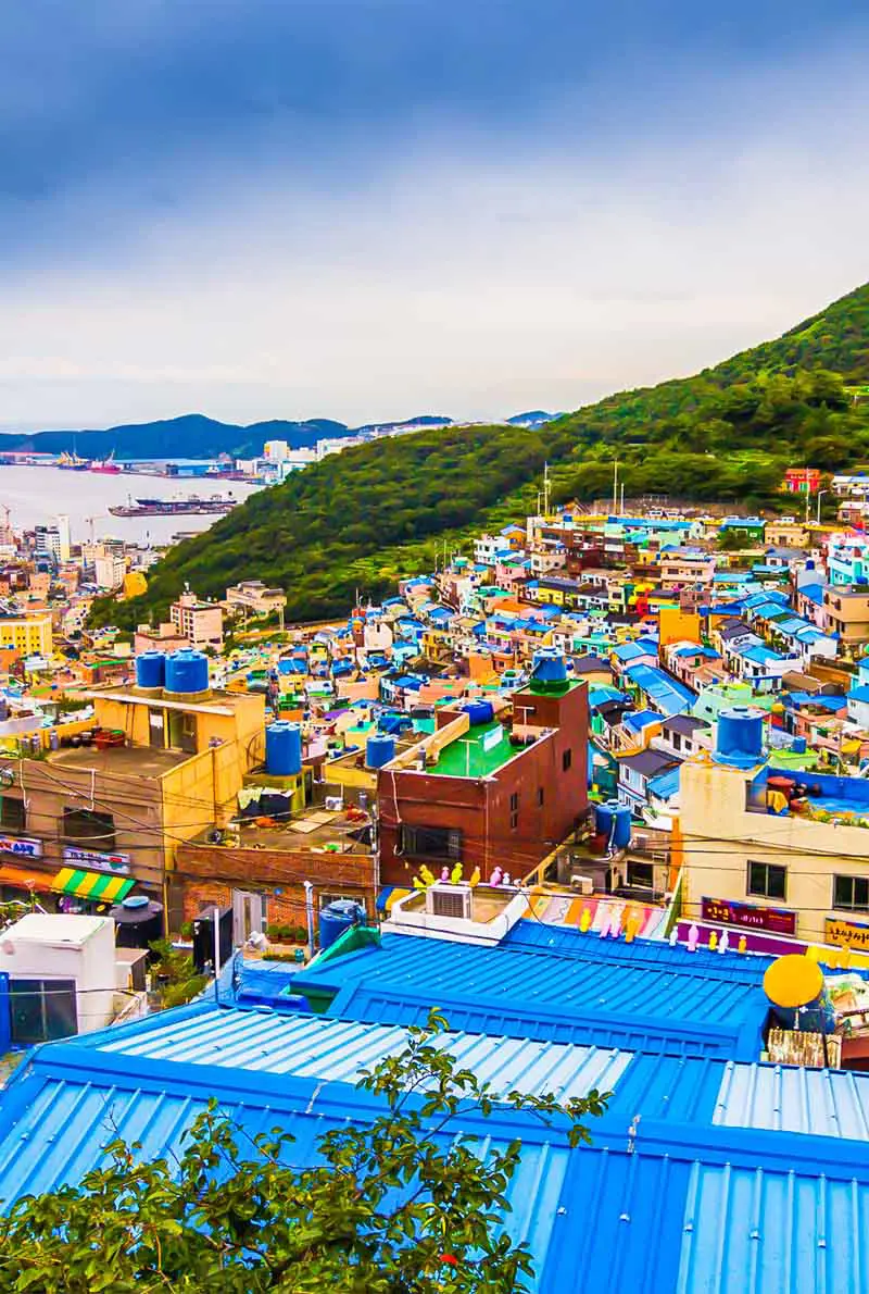 4 Nights 5 Days Korea Gastronomy Tour - Ultimate Korean Culinary Experience in Busan & Seoul