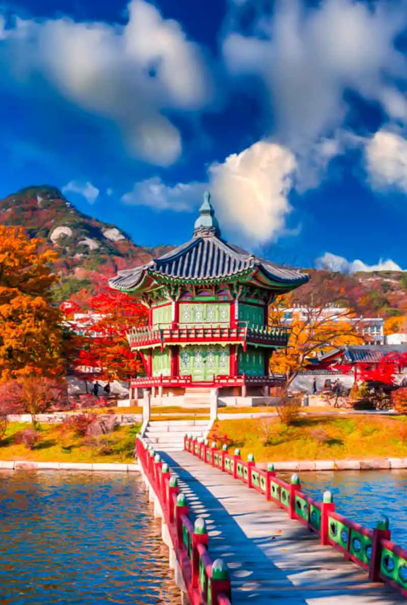 4 Nights 5 Days Korea Gastronomy Tour - Ultimate Korean Culinary Experience in Busan & Seoul