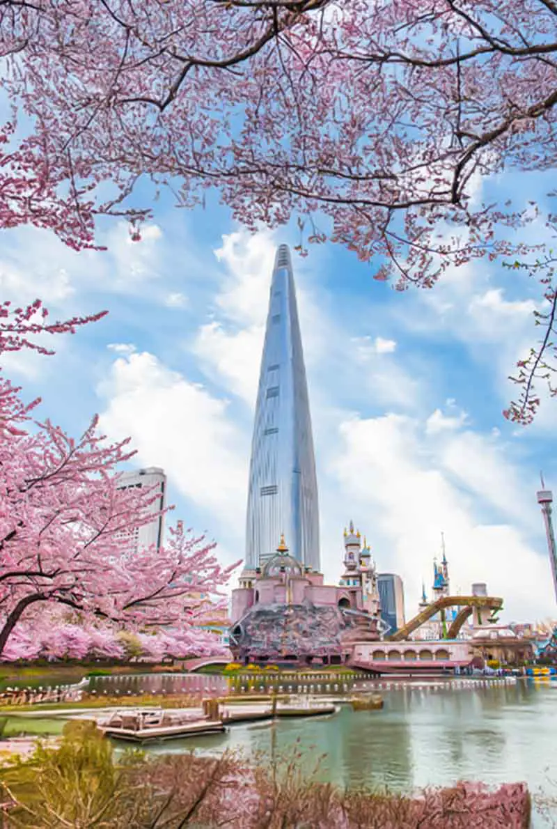 4 Nights 5 Days Korea Gastronomy Tour - Ultimate Korean Culinary Experience in Busan & Seoul