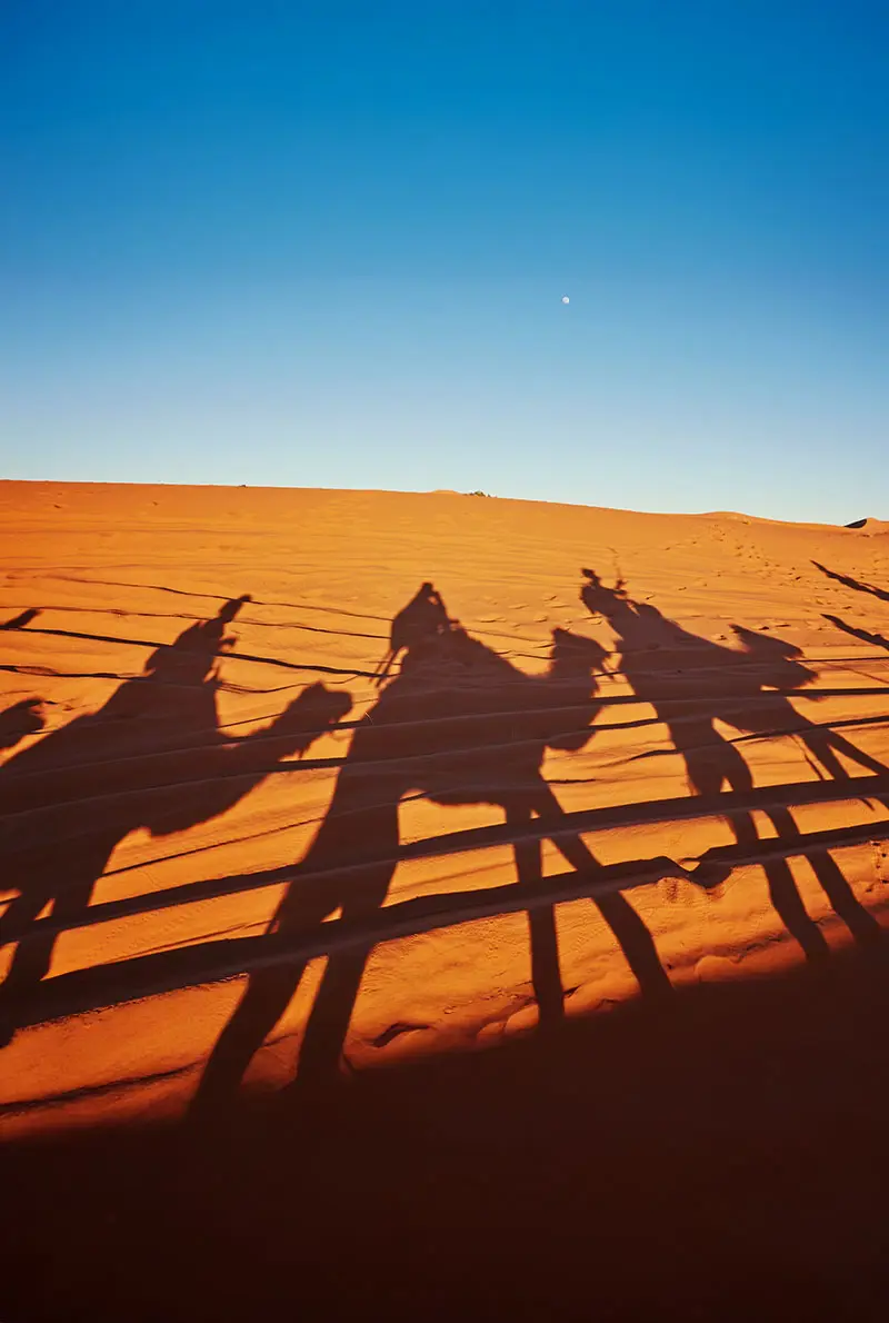 Authentic Dubai Camel Trek at Dawn | Intimate Desert Sunrise Experience