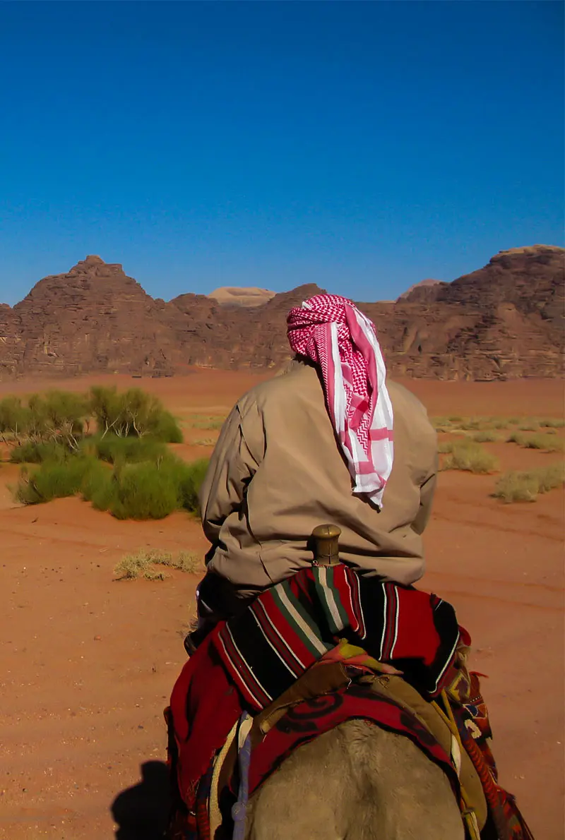 Authentic Dubai Camel Trek at Dawn | Intimate Desert Sunrise Experience